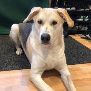 Meet your Posher, Caitlin